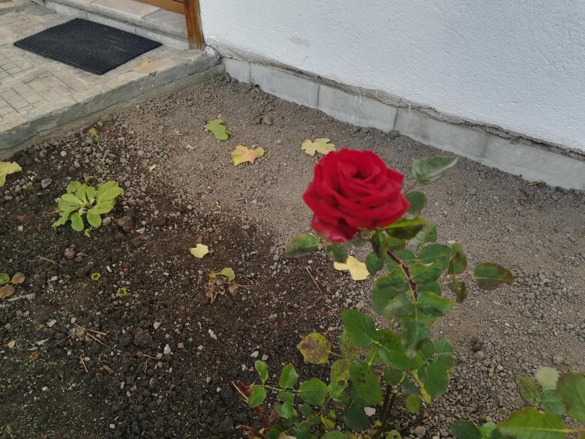 קופריבשטיצה Guest House Terziiski מראה חיצוני תמונה